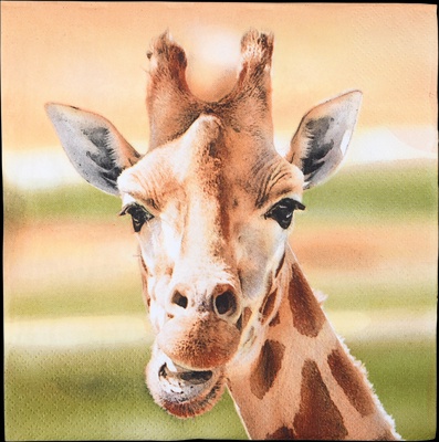 Servilletas de Papel Jirafa 33x33cm